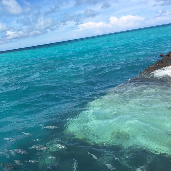 Meet your Posher, Kris - Picture 2 of 7